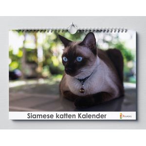 Siamese kat verjaardagskalender | 35 X 24CM | Verjaardagskalender katten soort de Siamese kat | Verjaardagskalender Volwassenen
