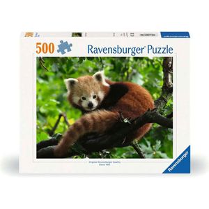 Ravensburger puzzel Süßer roter Panda - 500 stukjes.