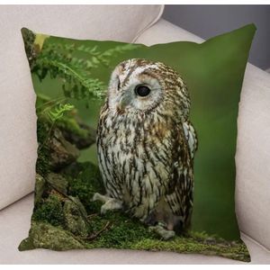 Dieren kussenhoes Uil - Fotoprint - Sierkussen - 45x45 cm