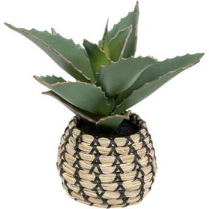 Atmosphera Kunstplant Samoerai 25x22x26cm - Groen/Beige