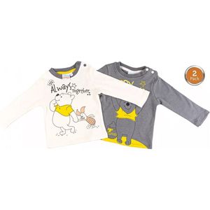 Disney Winnie the Pooh Baby T-shirt 2 Pieces