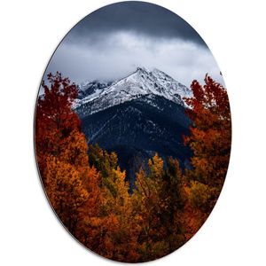 WallClassics - Dibond Ovaal - Witte Besneeuwde Bergtop door Herfstkleurig Bos - 60x80 cm Foto op Ovaal (Met Ophangsysteem)