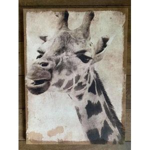 Giraffe op canvas