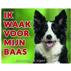 Border Collie Waakbord - Ik waak voor mijn baas