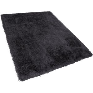 CIDE - Shaggy vloerkleed - Zwart - 200 x 300 cm - Polyester