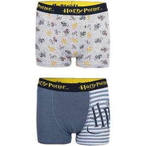 Harry Potter - Boxershort Harry Potter - 2 pack - jongens - maat 99/104