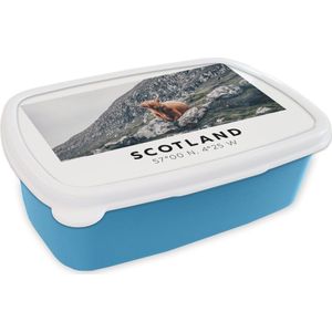 Broodtrommel Blauw - Lunchbox - Brooddoos - Schotland - Schotse Hooglander - Bergen - Dieren - 18x12x6 cm - Kinderen - Jongen