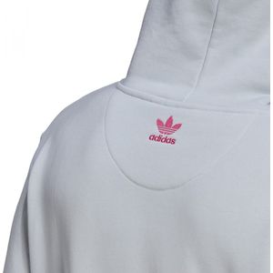 adidas Originals 3D Tf Om Hoody Sweatshirt Mannen Blauwe L