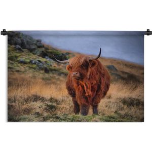 Wandkleed Schotse Hooglanders  - Schotse hooglander op heuvel Wandkleed katoen 150x100 cm - Wandtapijt met foto