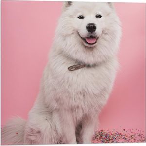 WallClassics - Vlag - Portret van Witte Hond tegen Roze Achtergrond met Confetti - 50x50 cm Foto op Polyester Vlag