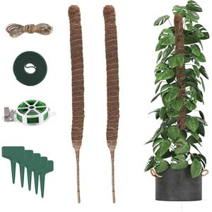 Klimhulp Monstera - flexibele mosstaaf 60 cm - plantenstaaf voor klimplanten - tuin plantenondersteuning Moss Rod Plant Pole Climbing