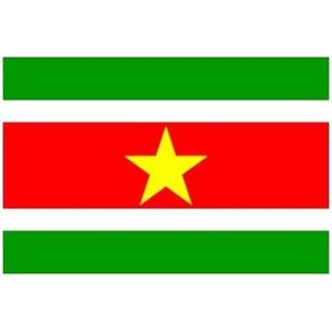 Mini vlag Suriname 60 x 90 cm