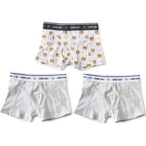 Little Label Onderbroeken Jongens - 3 Stuks -Maat 134-140 - Boxershorts - Wit - Zachte BIO Katoen