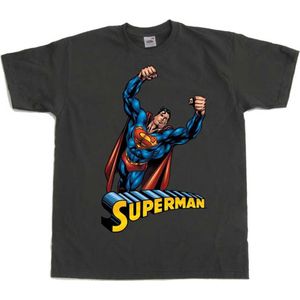 DC Comics Superman Heren Tshirt -3XL- Flying Grijs