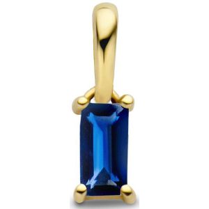 Hanger Met Geboortesteen 14K Geelgoud