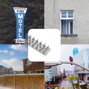 vogelafweer / vogelafweer / duivenafweer, kattenspikes, duivenbescherming, vogelbescherming, spikes,12m