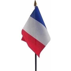 Frankrijk mini vlaggetje op stok 10 x 15 cm