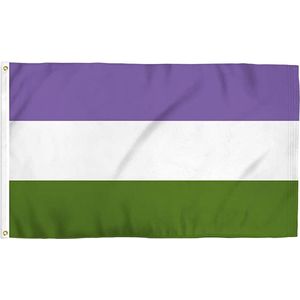 Genderqueer Pride vlag 90x150 cm - Polyester - 2 ophangringen