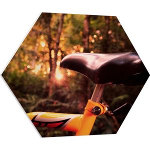 WallClassics - PVC Schuimplaat Hexagon - Zadel van Gele Fiets in het Bos - 80x69.6 cm Foto op Hexagon (Met Ophangsysteem)