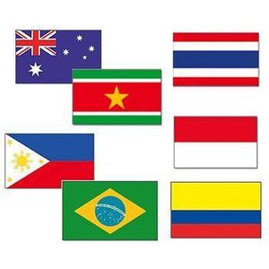 Tropisch vlaggen pakket