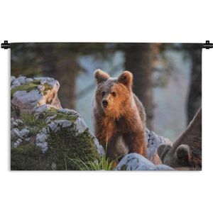 Wandkleed Roofdieren - Bruine beer in het zonlicht Wandkleed katoen 120x80 cm - Wandtapijt met foto