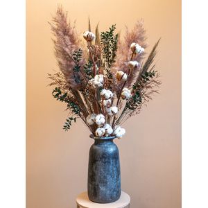Pampas Pluimen - Droogboeket Puur Natuur - Droogbloemen