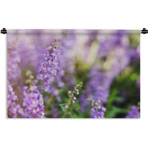 Wandkleed De lavendel - Close up van hele lavendel in een veld Wandkleed katoen 60x40 cm - Wandtapijt met foto