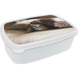 Broodtrommel Wit - Lunchbox - Brooddoos - Poes - Deken - Bank - 18x12x6 cm - Volwassenen