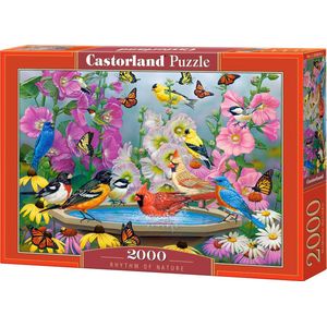 Castorland Rhythm of Nature - 2000pcs