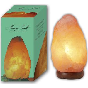 Zoutlamp 2-3 kg met Houten Voet - Natuurlijke Kristalzout Lamp voor Sfeervolle Verlichting