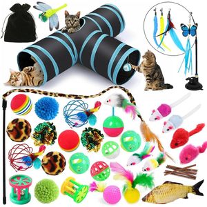 Kattenspeelgoed - Speelgoed Set - Voor Katten en Kittens - 39 Delig - Draagbaar