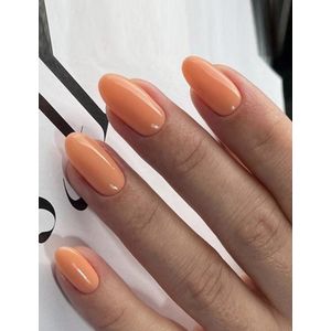 Nep nagels - Plaknagels - Oranje - Medium - Ovaal