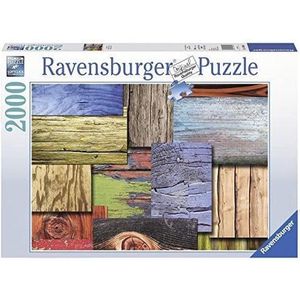 Ravensburger puzzel Remainders - Legpuzzel - 2000 stukjes
