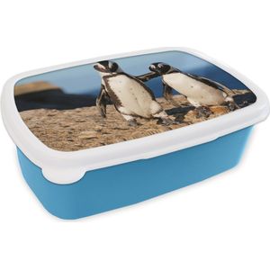 Broodtrommel Blauw - Lunchbox - Brooddoos - Twee pinguïns knuffelen op een rots - 18x12x6 cm - Kinderen - Jongen