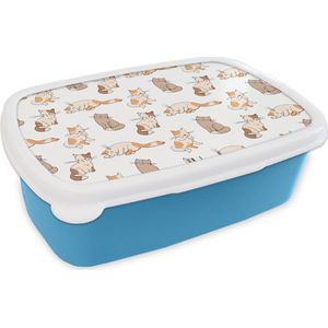 Broodtrommel Blauw - Lunchbox - Brooddoos - Patroon - Kat - Kitten - Jongens - Meisjes - Kinderen - Kids - 18x12x6 cm - Kinderen - Jongen