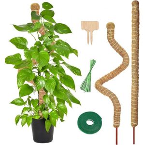 BOTC Mosstok voor Planten - 6-Delig - Plantenstok - Plantensteun - Perfect voor Monstera, Pothos en Meer