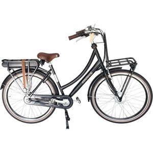 Raaks Hudson elektrische transportfiets 50 cm