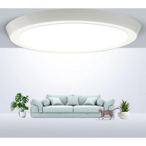 Badkamerlamp Plafond Led platte 24 W 2400 lm-320 x 30 mm-6000 K IP20 voor woonkamer slaapkamer keuken kelder hal