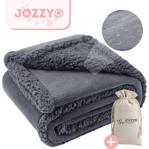 JOZZY® Love Blanket - Waterdicht Deken - 145x216cm - Fleece Plaid - Date Night - Seks Deken - Waterproof - Waterdichte Deken voor Bed - Valentijn