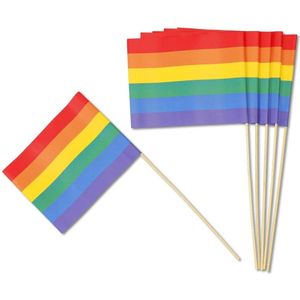 Regenboog Vlaggen - 6 stuks - 19 x 26 cm - Multicolor - Feest - Party - Vlag - Pride - LHBTQ+