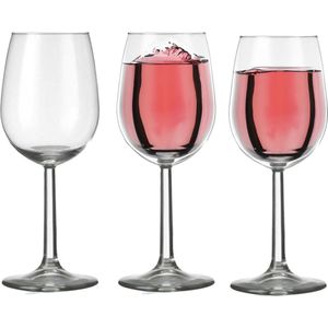 Set van 12x stuks wijnglazen voor witte wijn 290 ml Bouquet - 29 cl - Wijn drinken - Wijnglazen van glas