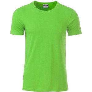 James and Nicholson - Heren Standaard T-Shirt (Kalk groen)
