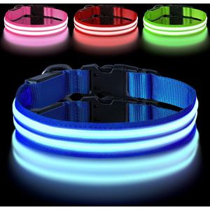 LED Light Up Dog Collar - Double Light Strip Type-C Port Charging - Adjustable Stitched Collar with D Ring Buckle - Waterproof Flashing Collar for Large Pets and Dogs