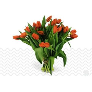 Verse bloemen boeket TULPEN (cadeau voor haar) - Oranje - 10 per bos (brievenbusbloemen)