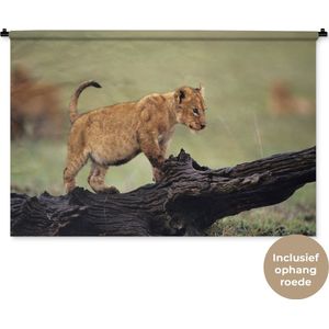Wandkleed Leeuwen - Jonge leeuw in Kenia Wandkleed katoen 150x100 cm - Wandtapijt met foto