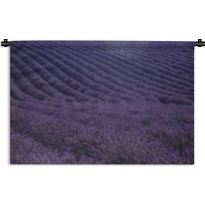 Wandkleed De lavendel - Bloeiende lavendelveld op golvende heuvels Wandkleed katoen 90x60 cm - Wandtapijt met foto