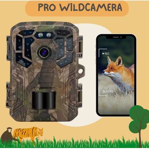 Delori Pro Wildcamera en Natuurcamera: 24MP Beelden, Uitgerust met Nachtzicht, Smartphone Bediening via App, WiFi/Bluetooth, Waterdicht