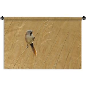 Wandkleed Baardman - Foto van een baardman in het gele riet Wandkleed katoen 60x40 cm - Wandtapijt met foto