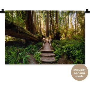 Wandkleed Jungle - Trap van gevallen bomen in jungle Wandkleed katoen 60x40 cm - Wandtapijt met foto