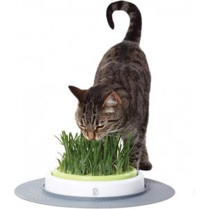 Catit Design Senses Grass Garden Kit - Kattengras - 1